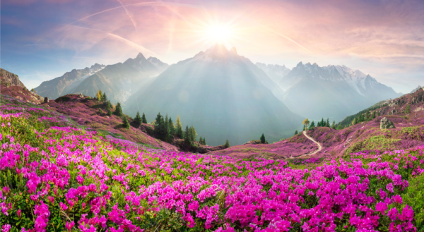 peaches-1024x563 (1)